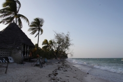 Pingwe Zanzibar 3
