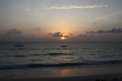 Pingwe, Zanzibar 5