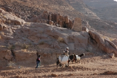 Scène de vie des bédouins du Wadi Rum